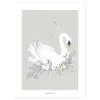 Affiche Cygne Style Romantique GRACE