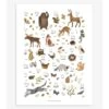 Affiche Enfant Abécédaire Animaux De La Forêt NORWOOD