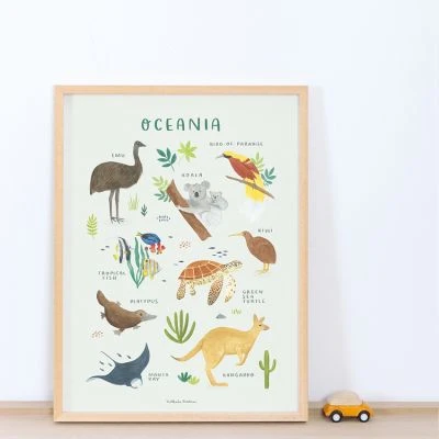 Affiche Animaux D'Océanie (30 X 40 Cm) 2 Affiche Animaux D'Océanie (30 X 40 Cm) – Image 2