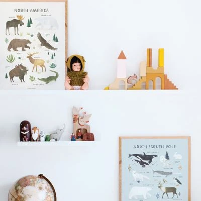 Affiche Animaux Des Pôles Nord Et Sud (30 X 40 Cm) 2 Affiche Animaux Des Pôles Nord Et Sud (30 X 40 Cm) – Image 2