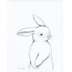Affiche Encadrée Lapin De Face (30 X 40 Cm)