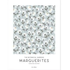 Affiche Marguerites Bleu Clair (30 X 40 Cm)