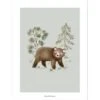 Affiche Ours Little Bear (30 X 40 Cm)