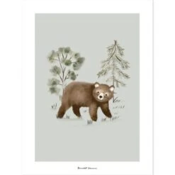 Affiche Ours Little Bear (30 X 40 Cm)