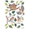 Stickers Muraux Les Rouges-gorges QUEYRAN