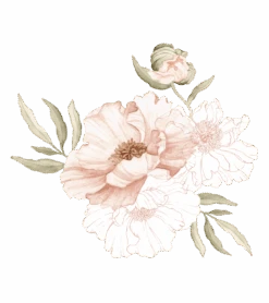 Stickers Muraux Coquelicot Lilipinso -Lilipinso Déco Soldes Boutique islandic poppies grand sticker grand coquelicot rose