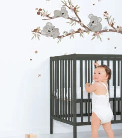 Sticker Mural Lilydale Lilipinso -Lilipinso Déco Soldes Boutique lilydale grand sticker branche et famille koalas 1
