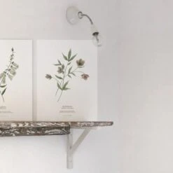 Lot De 2 Affiches Hellébore & Foxglove (30 X 40 Cm) 9 Lot De 2 Affiches Hellébore & Foxglove (30 X 40 Cm) -Lilipinso Déco Soldes Boutique lot de 2 affiches hellebore foxglove 30 x 40 cm 4