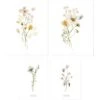 Lot De 4 Affiches Botanical Flowers