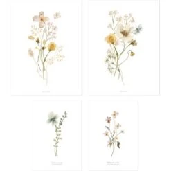 Lot De 4 Affiches Botanical Flowers