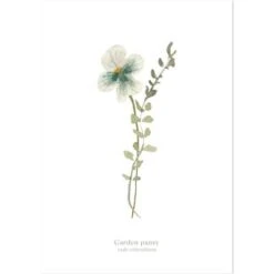 Lot De 4 Affiches Botanical Flowers -Lilipinso Déco Soldes Boutique lot de 4 affiches botanical flowers 3