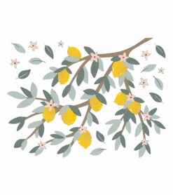 Grands Stickers Louise Lilipinso -Lilipinso Déco Soldes Boutique louise grand sticker branches et citrons