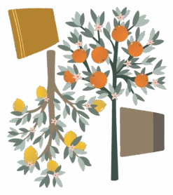 Sticker Mural Oranger Et Citronnier Lilipinso
