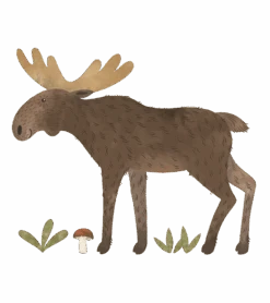 Planches De Stickers Norwood Lilipinso 7 Planches De Stickers Norwood Lilipinso -Lilipinso Déco Soldes Boutique norwood grand sticker caribou