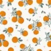 Papier Peint Mandarines Tangerine (50 Cm X 10 M)