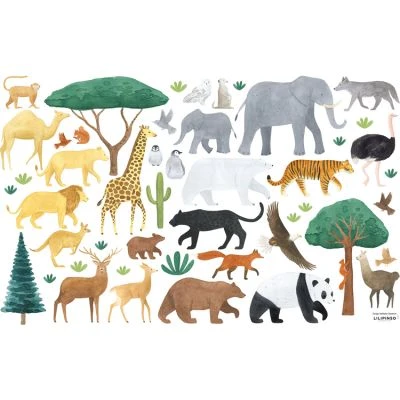 Planche De Stickers M Animaux Du Monde (64 X 90 Cm) 1 Planche De Stickers M Animaux Du Monde (64 X 90 Cm)