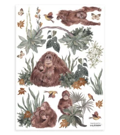 Sticker Singes, Les Orangs-outans En Vinyle Marron 29,7x42 Cm
