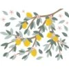 Stickers Muraux Citrons Sur Branche (64 X 48 Cm)