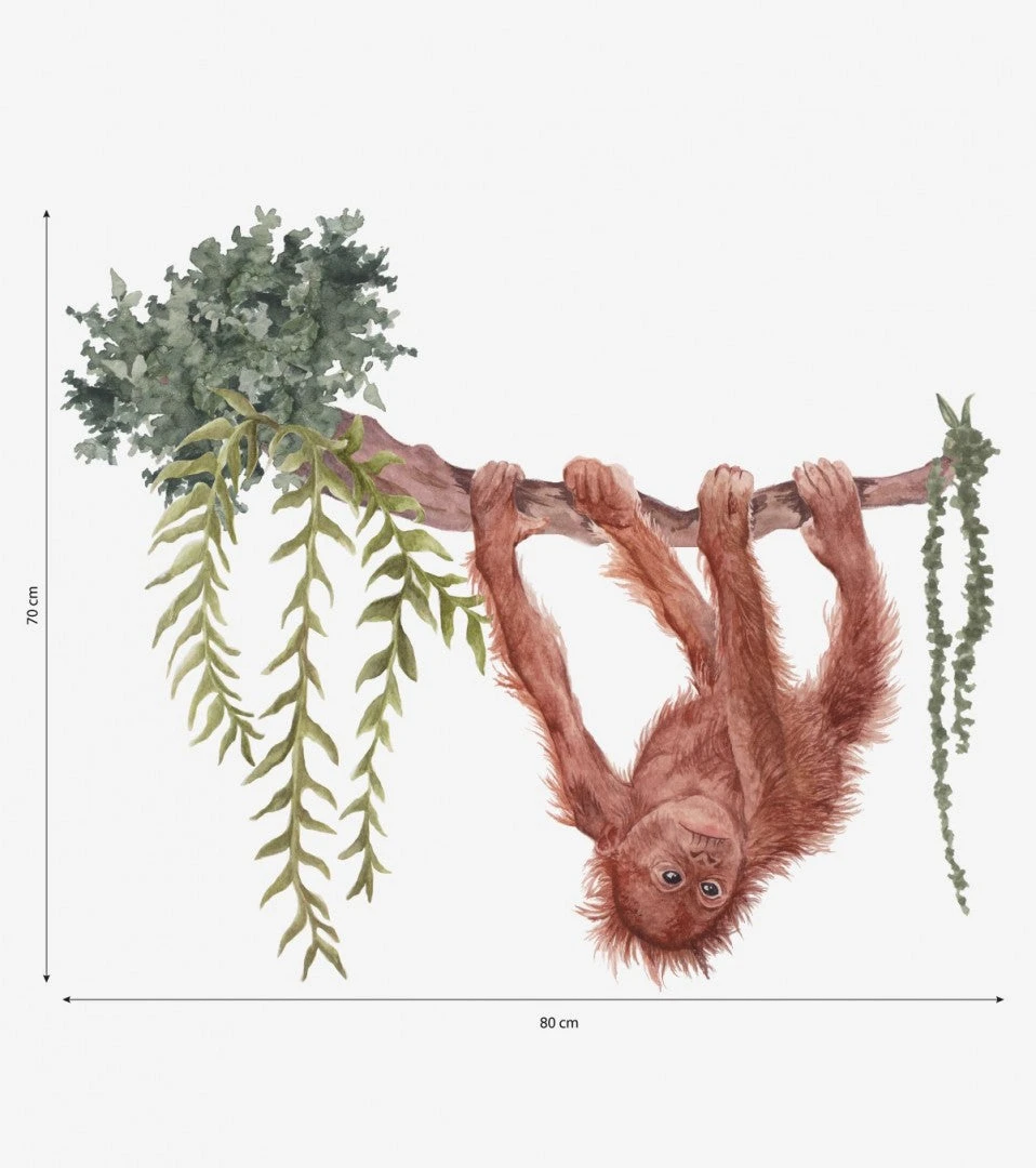 Sticker Mural Utan Orang Outan Lilipinso 3 Sticker Mural Utan Orang Outan Lilipinso – Image 3